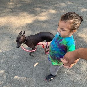 Meet your Posher, Gino